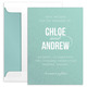 Modern Couple Shimmer Save the Date Cards Image 7 of 13